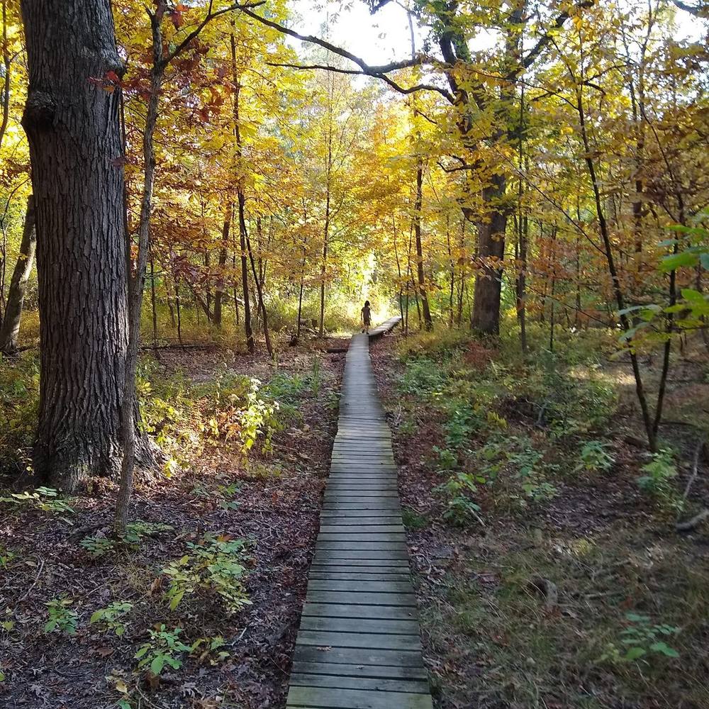 Meet your Posher, Dan